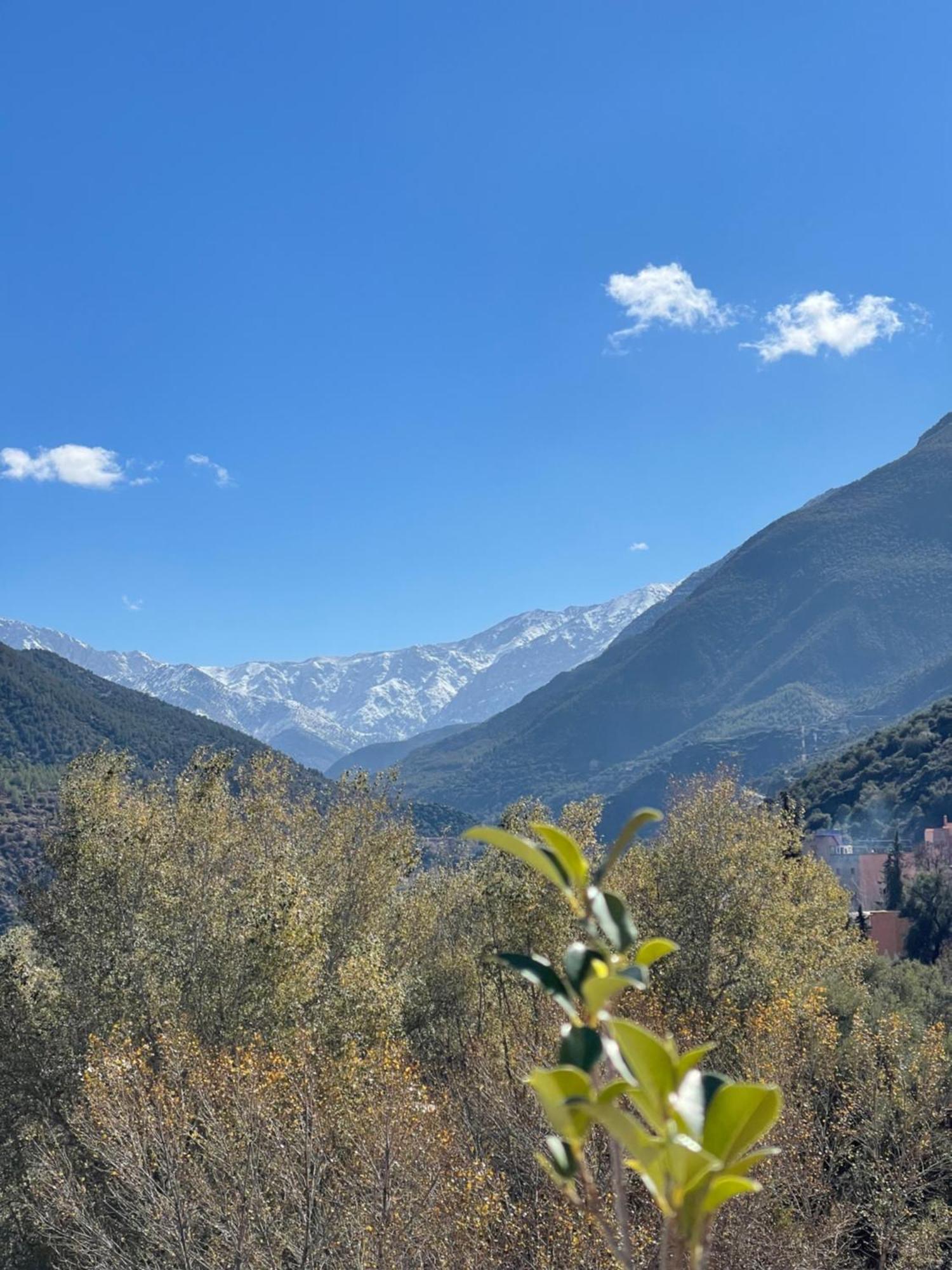 Dar Tawja Villa Asguine Exteriör bild